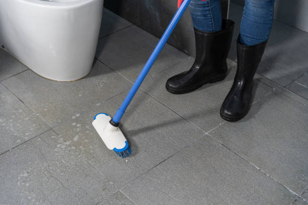 Tile and Grout Cleaning for Homes and Offices
